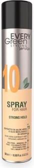 Image du produit Evergreen Fixation forte pour tous les types de cheveux (500 ml)