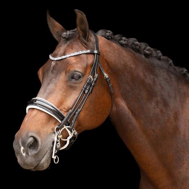 Immagine prodotto Imperial Riding Olympia
