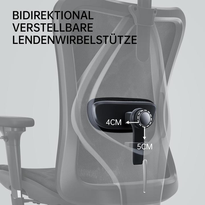 Actual product image Sihoo Office chair