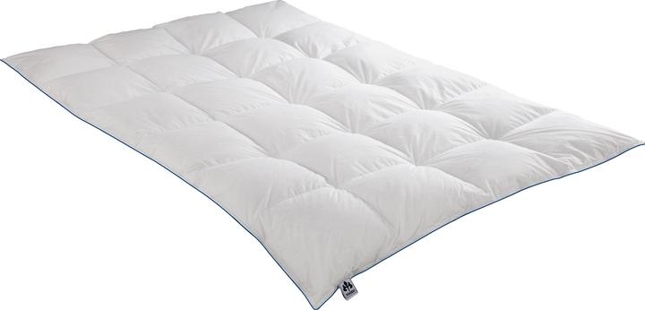 Actual product image Irisette Daunenkassettendecke Luna warm (940 g, 155 x 200 cm)