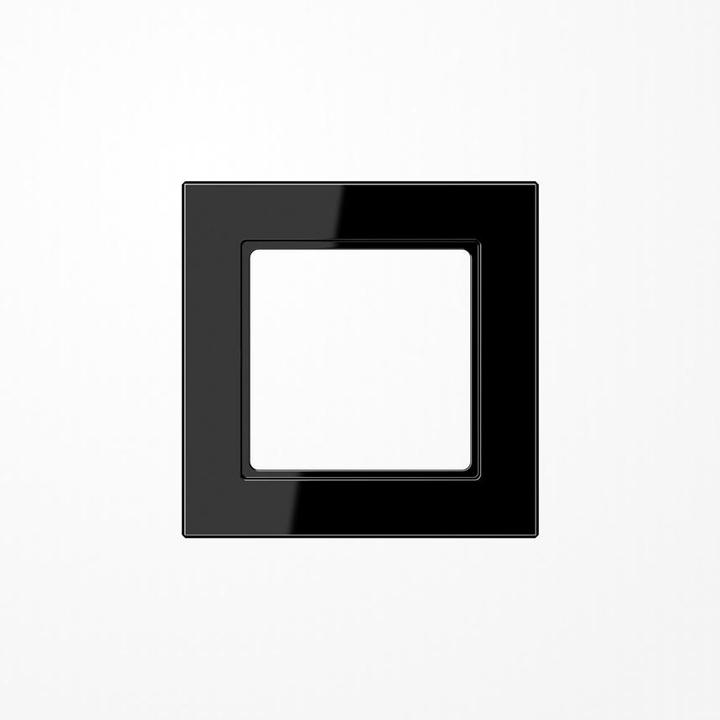 Actual product image JUNG Frame