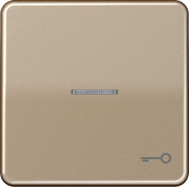 Actual product image JUNG Control rocker switch CD brz glz CD590KO5TGB