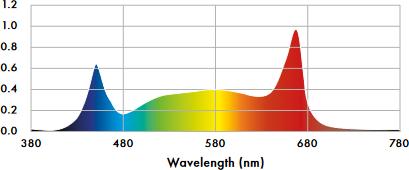 Immagine prodotto Dimlux Serie Xplore 200W CompactLine (LED, 240 V)