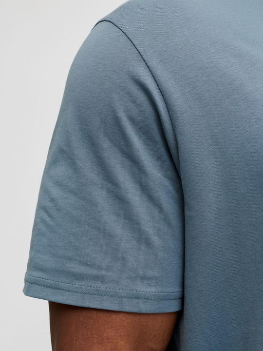 Produktbild Jack & Jones Jjesoho Tee Ss Crew Neck Noos Pls (3XL)