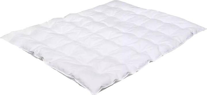 Träumeland Duvet Daunentraum (80 x 80 cm)