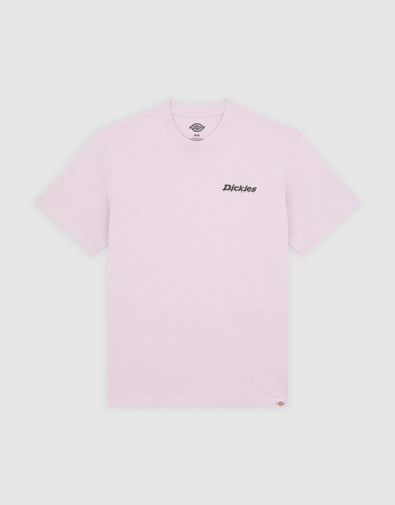 Actual product image Dickies Statesville Tee SS (XL)