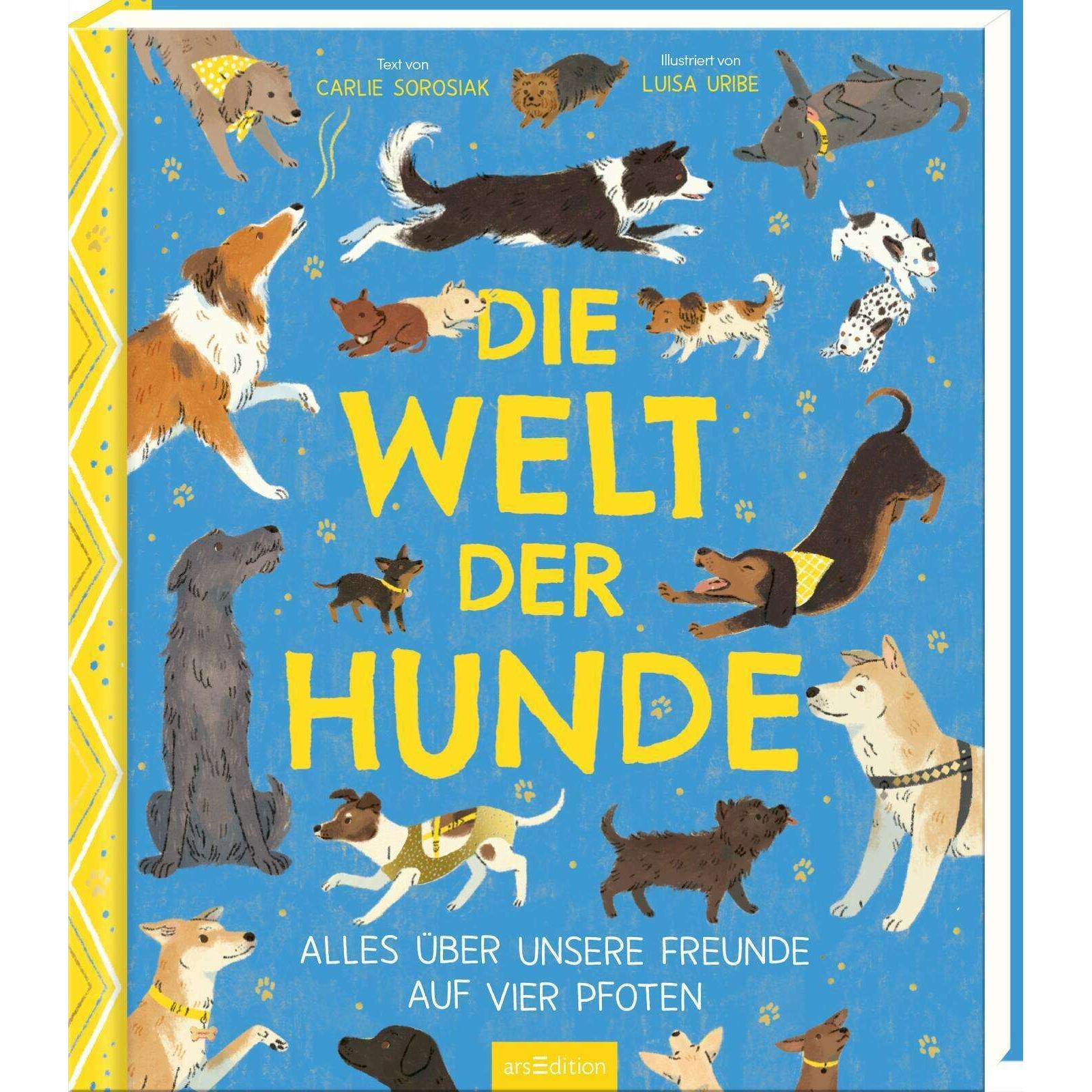 Die Welt der Hunde, Kinderbücher von Carlie Sorosiak, Carolin Hensler, Luisa Uribe
