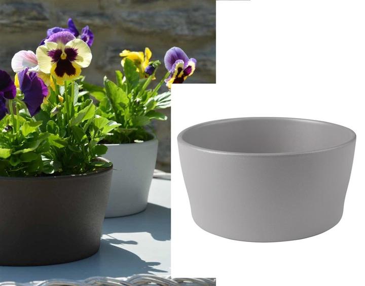 Produktbild Domoletti Misa (23 x 9.50 cm)