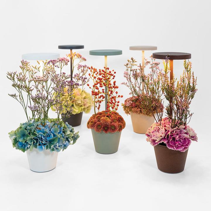 Image du produit Zafferano Poldina Reservo (262 lm)