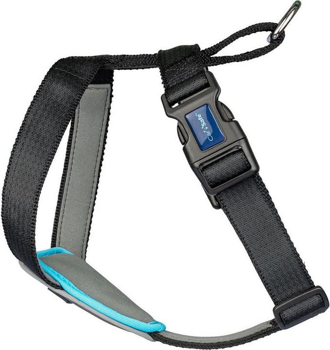 Actual product image Company of Animals CarSafe Autogeschirr (Dog)