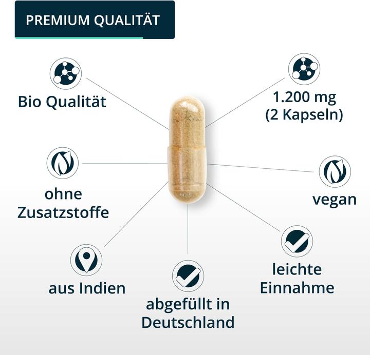 Actual product image Brandl Bio Ingwer (Ginger) (1 Piece, Capsules, 85 g)