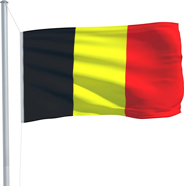 Actual product image vidaXL Belgien Flagge (150 x 90 cm)