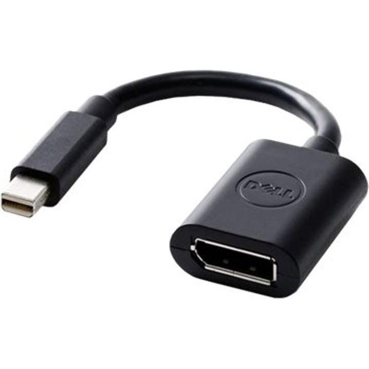 Dell Mini DP zu (DP, 20 cm), Data + Video Adapter, Schwarz