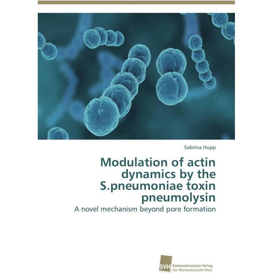 Modulation of actin dynamics by the S.pneumoniae toxin pneumolysin, Fachbücher von Sabrina Hupp