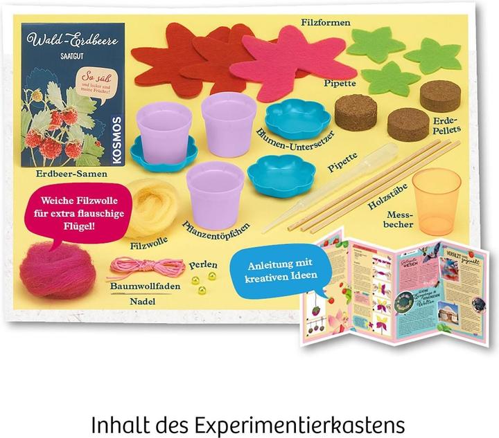 Actual product image Kosmos Fairy Strawberries