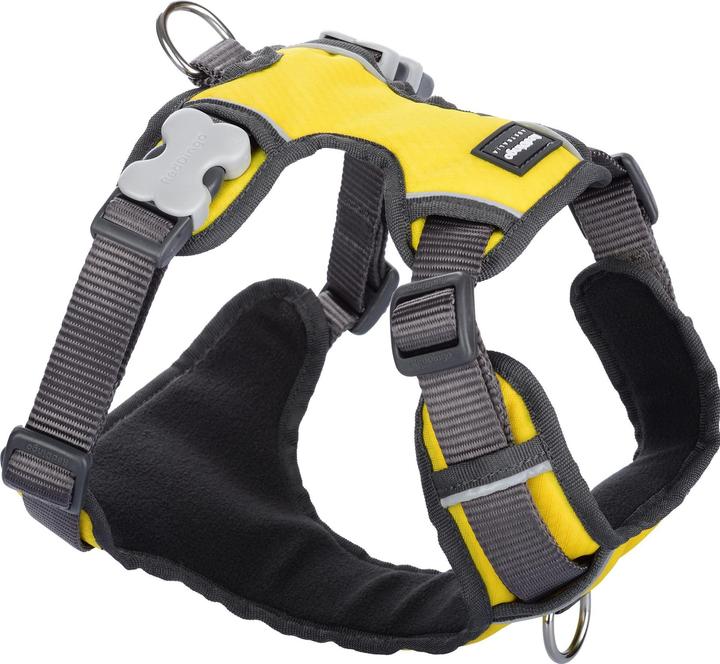 Red Dingo Padded Harness Yellow XS (XS, Hund, Hundesport)