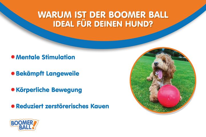 Actual product image Company of Animals Boomer Ball (Ball toy dog)
