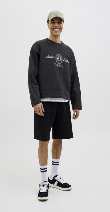 Produktbild Jack & Jones Jordia Sweat Crew Neck Ss25 (S)