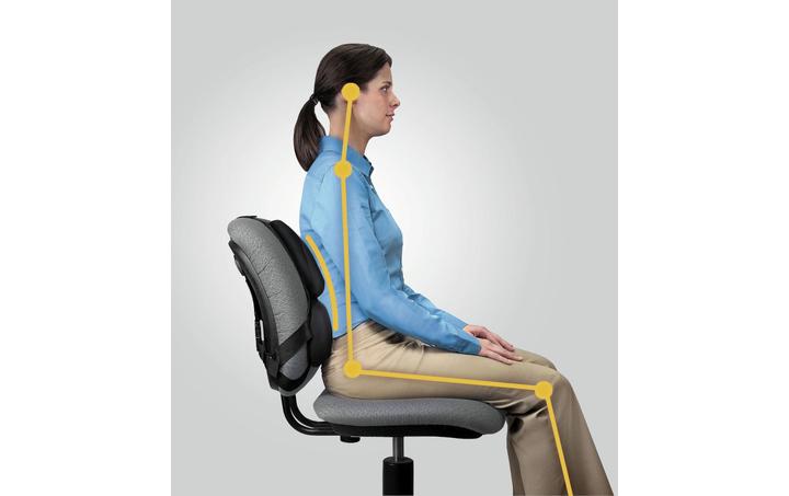 Image du produit Fellowes Support dorsal Professionnel, noir