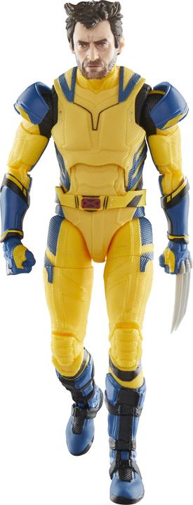 Image du produit Hasbro Marvel - Wolverine The Black Series
