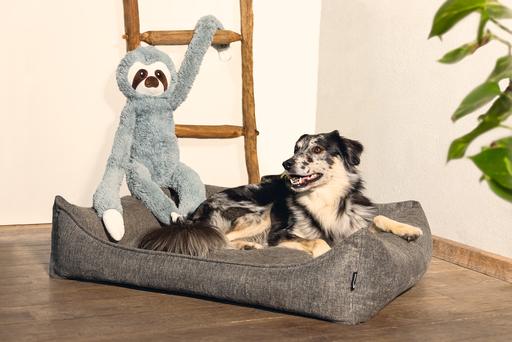 Image du produit Beeztees Zia (Chien)