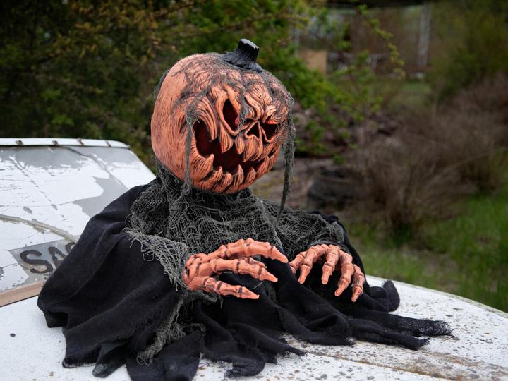 Actual product image Europalms Halloween pumpkin monster (1 Piece)