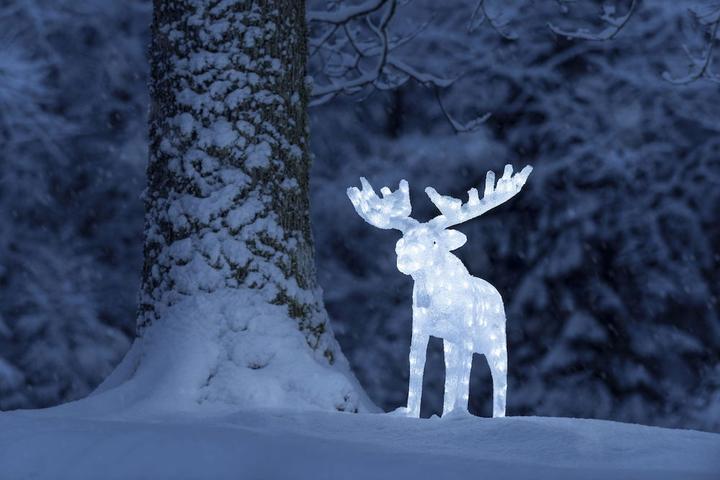 Produktbild Konstsmide LED Acryl-Elch