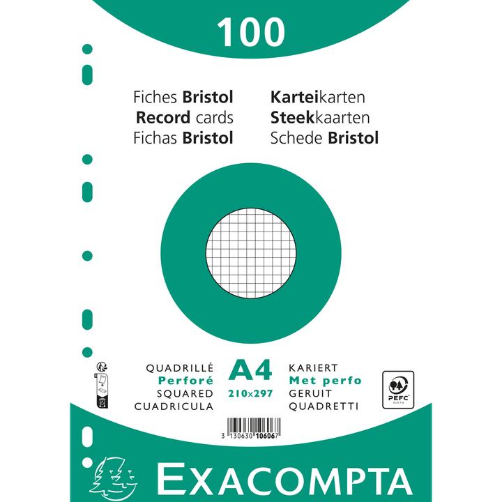 Image du produit Exacompta Fiches (210 x 297 mm, 100x)