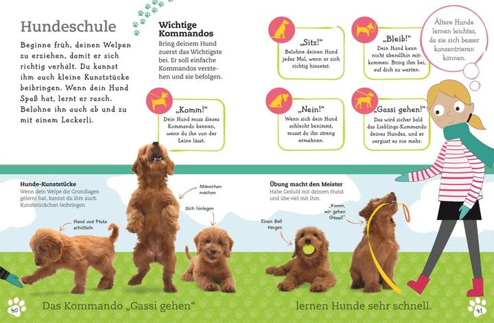 Produktbild Alles über deinen Hund (Deutsch, Andrea Mills, 2018)