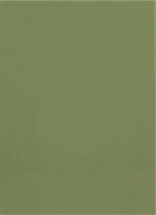 Actual product image Elba File cover, DIN A4, manila cardboard, without print, green 250 gsm (A4, 1 x)