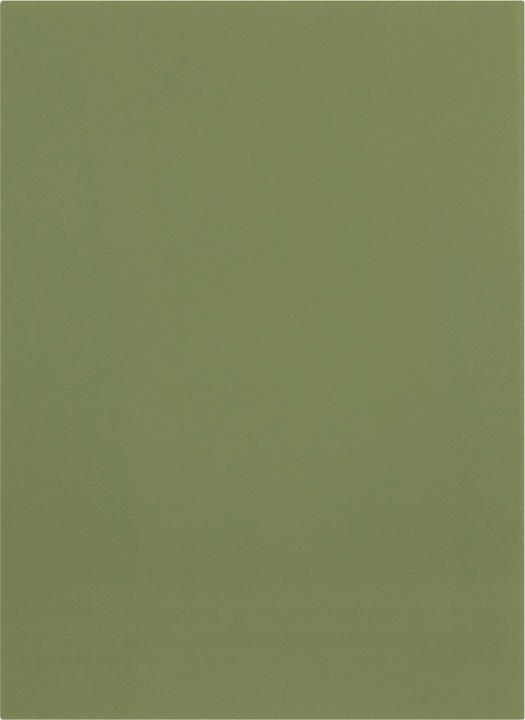 Image du produit Elba Chemises pour dossiers, DIN A4, carton de Manille, sans impression, vert 250 g-qm (A4, 1 x)