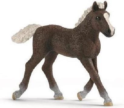 Produktbild Schleich Farm World Schwarzälder Fohlen 8x9cm