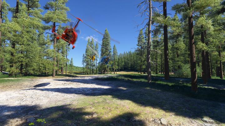 Actual product image Microsoft Flight Simulator 2024 (PS5, English)