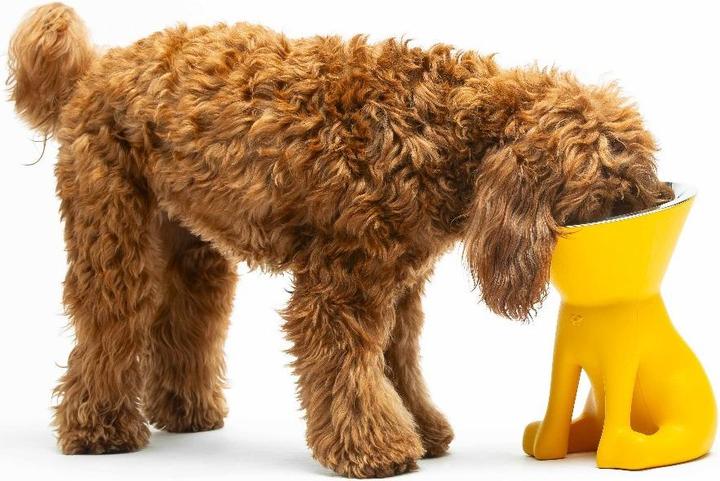 Image du produit United Pets Elizabeth (110 cl)
