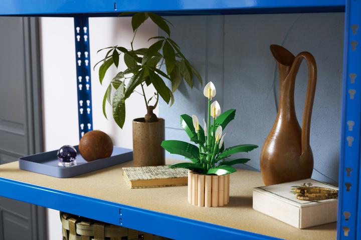 Image du produit LEGO Friedenslilie (11504, LEGO Botanical)