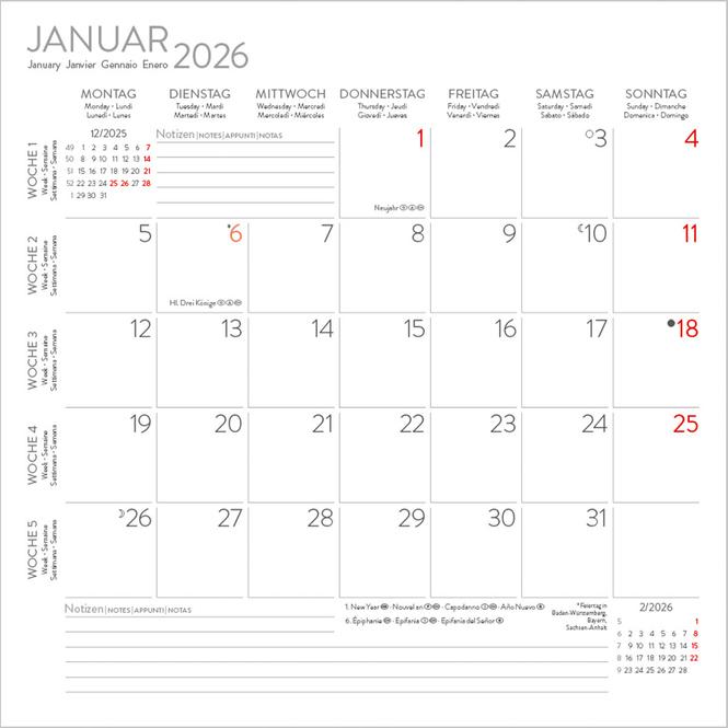 Actual product image Cats 2026 (Special)