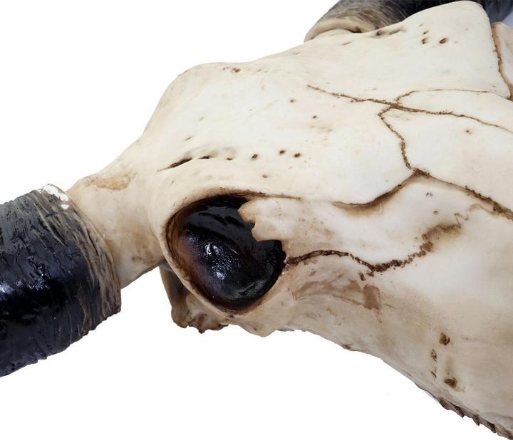 Image du produit JOHN316 Deko Schädel 132cm Stier