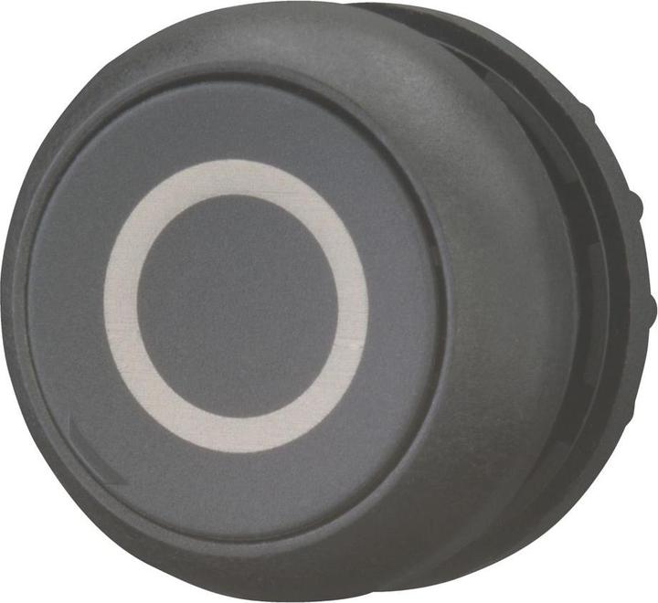 Actual product image Eaton Push-button, RMQ titanium, flat, momentary, 216610