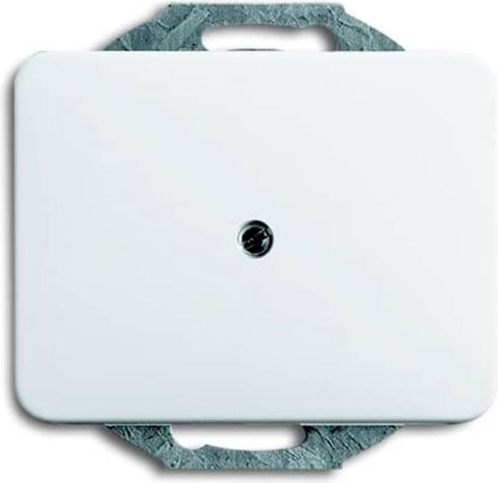 Actual product image Busch-Jaeger Central disk