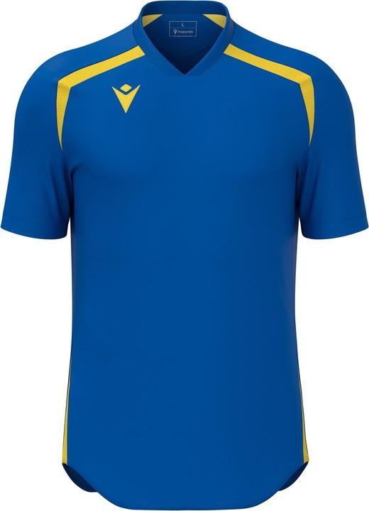 Royal, Yellow Blue