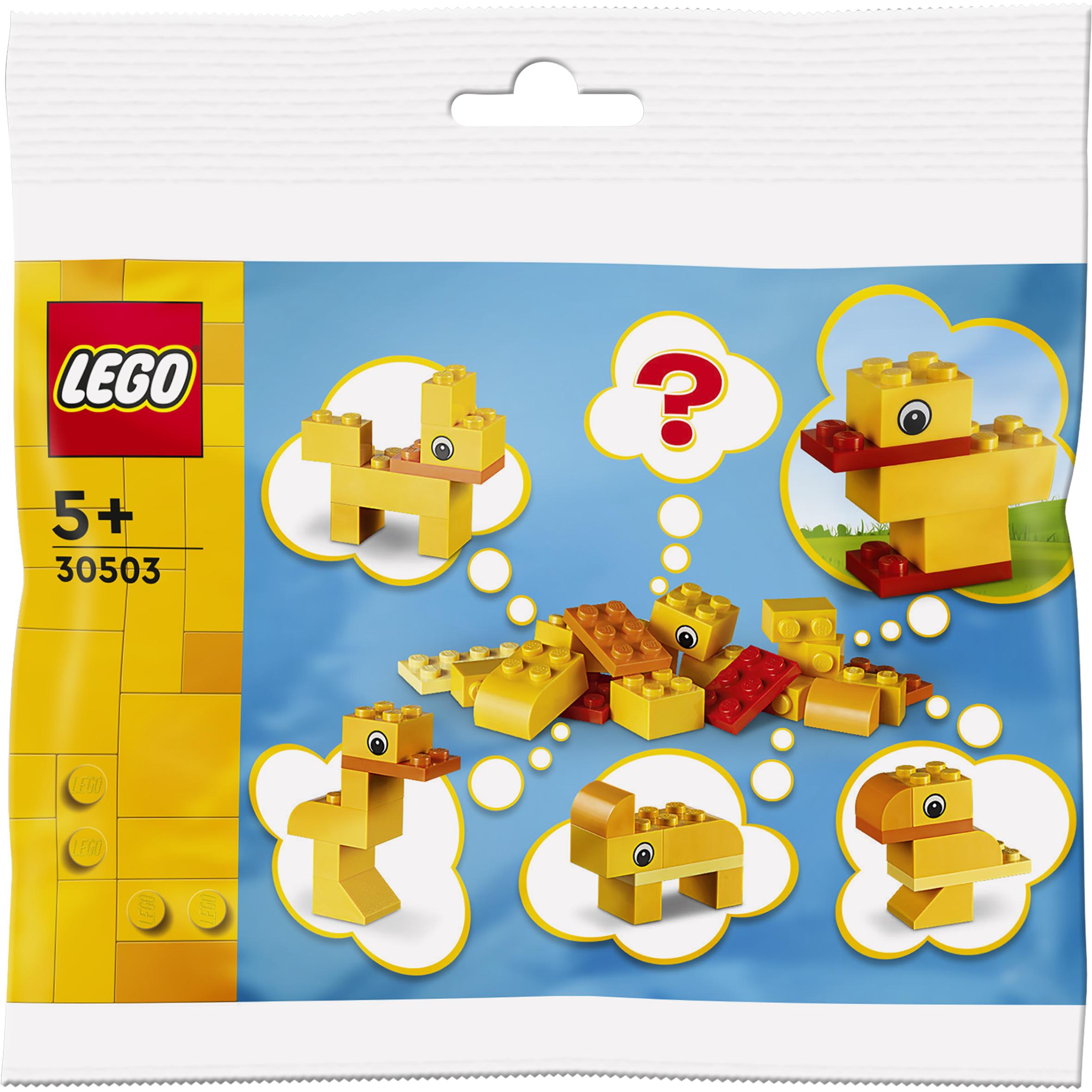 LEGO Freies Bauen: Tiere – Du entscheidest! (30503, LEGO Iconic)