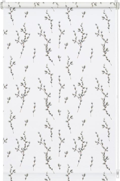 Immagine prodotto Gardinia Tenda a rullo EASYFIX Digiprint willow catkin (110 x 150 cm)