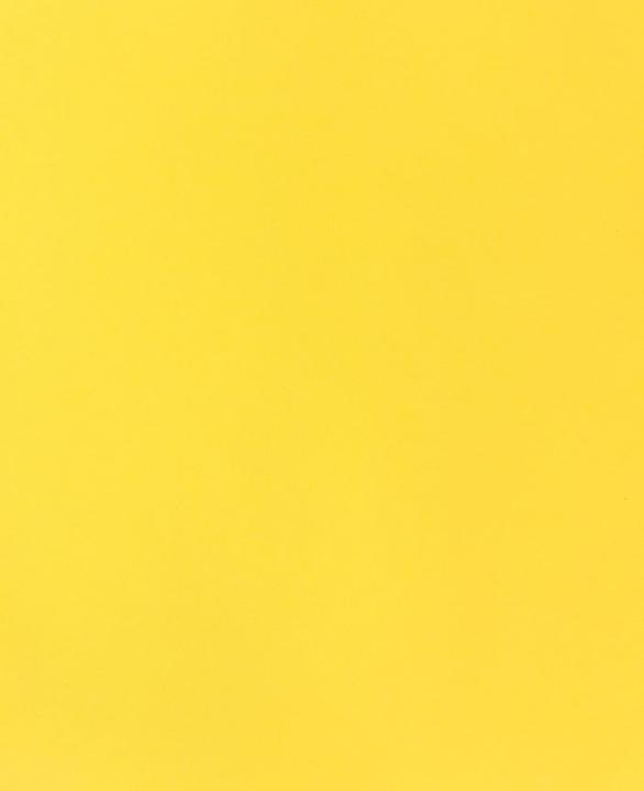 Produktbild Fotokarton A4, Zitronengelb (270 g/m², 1 x)