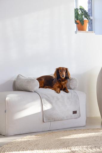 Actual product image Designed by Lotte Ribbed (Dog)