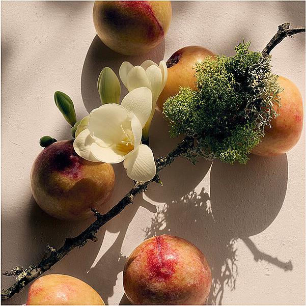 Immagine prodotto Chloé Nomade (Eau de parfum, 50 ml)