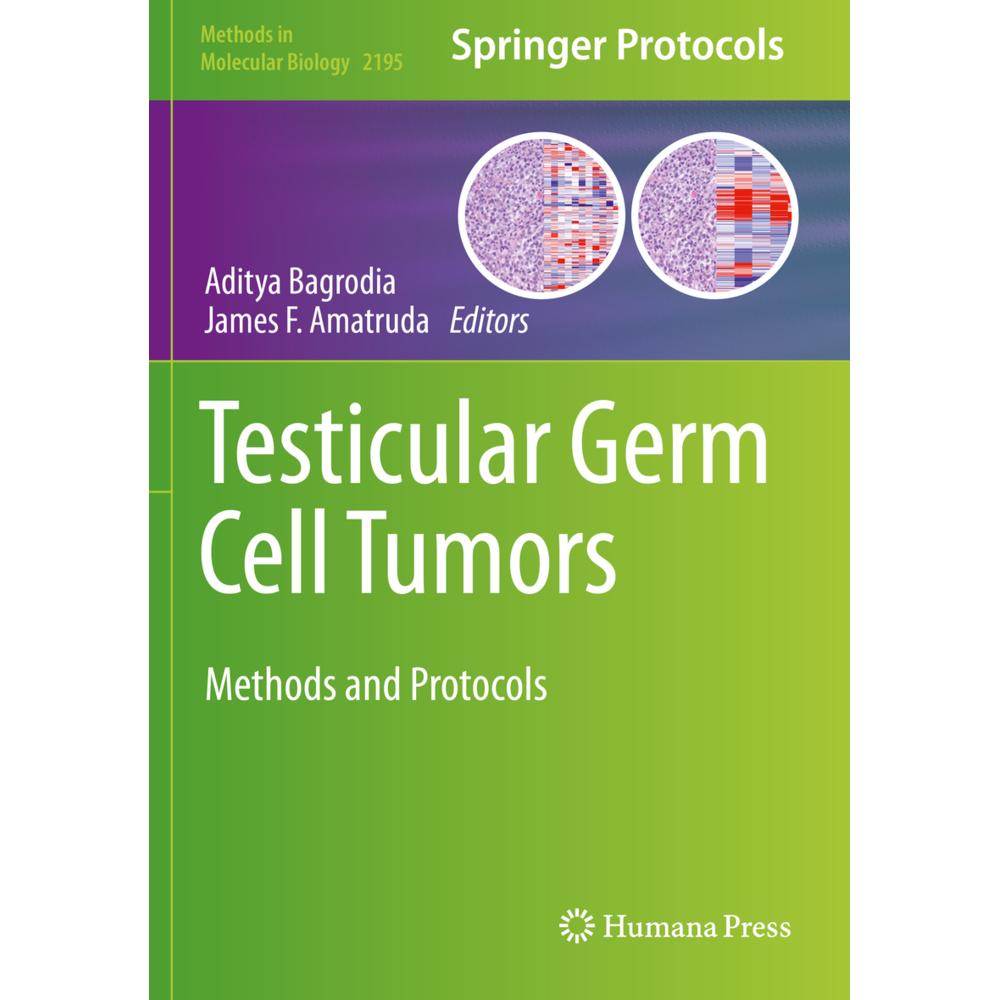 Testicular Germ Cell Tumors, Fachbücher von James F. Amatruda, Aditya Bagrodia
