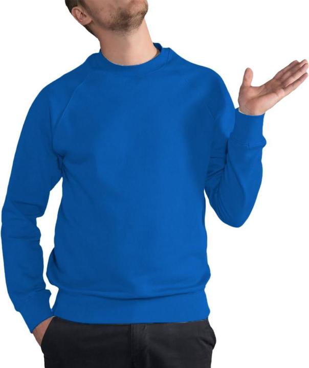 Produktbild Sg Raglan Sweatshirt Pullover Rundhalsausschnitt (3XL)