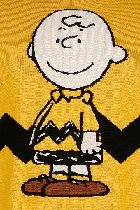 Produktbild Peanuts Charlie Brown (L)