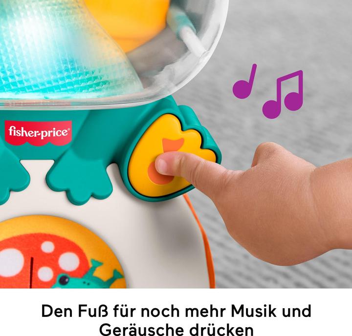 Productafbeelding Fisher-Price Seek & Hide Frog