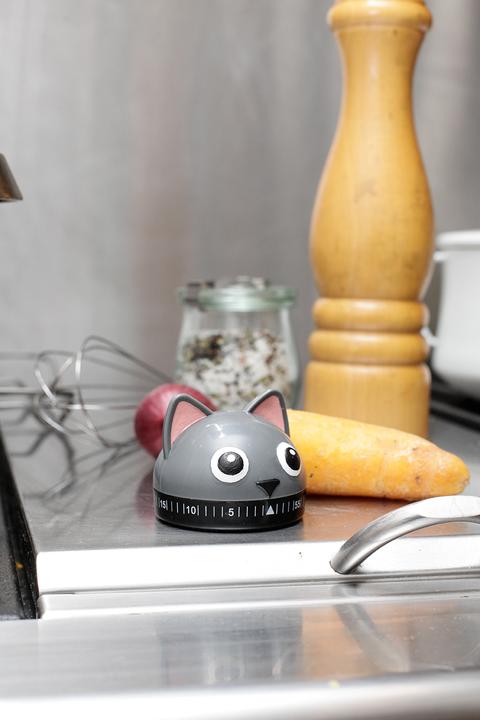 Actual product image Kikkerland Cat